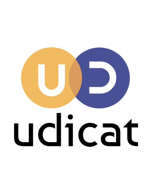 Udicat - Solution clé en main de Business Intelligence